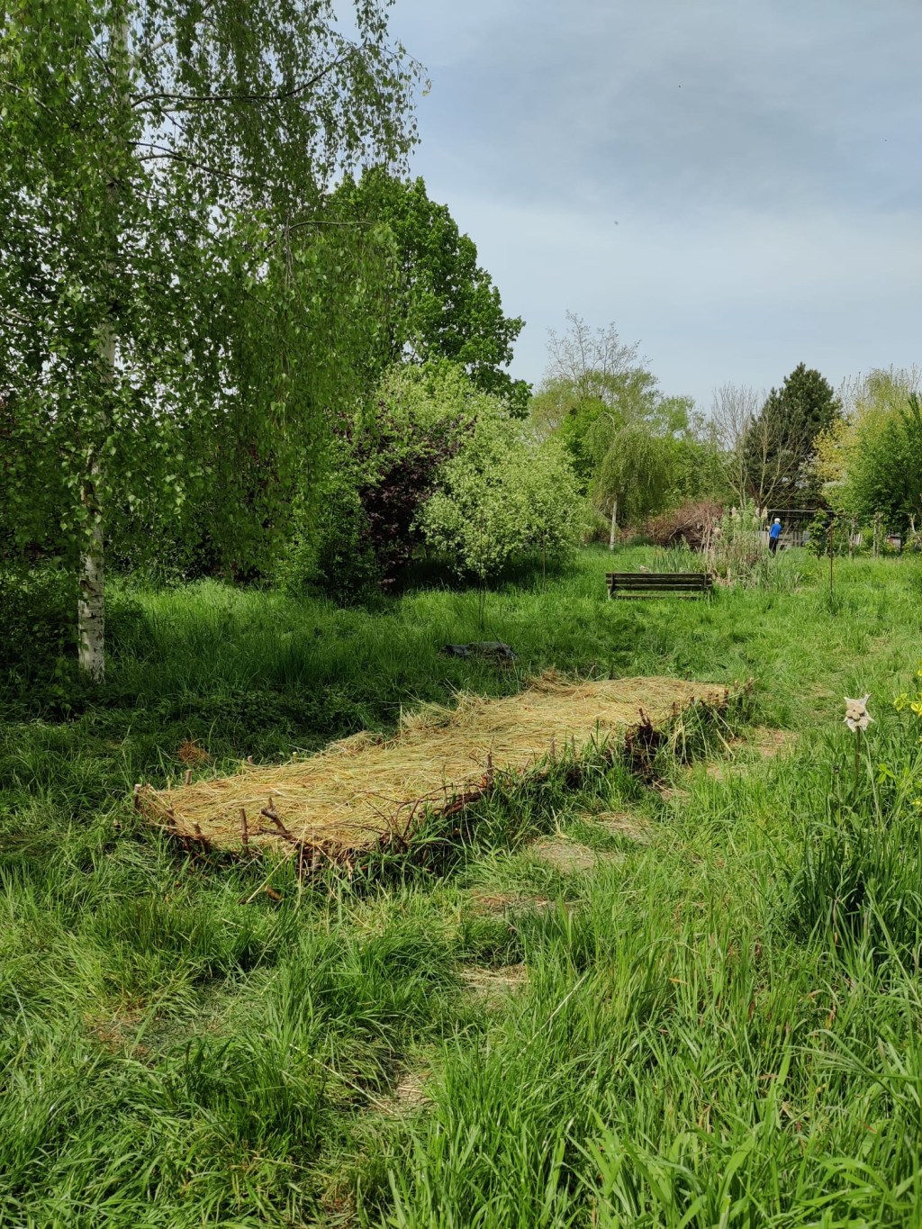 La permaculture : un art de vivre durable et écoresponsable