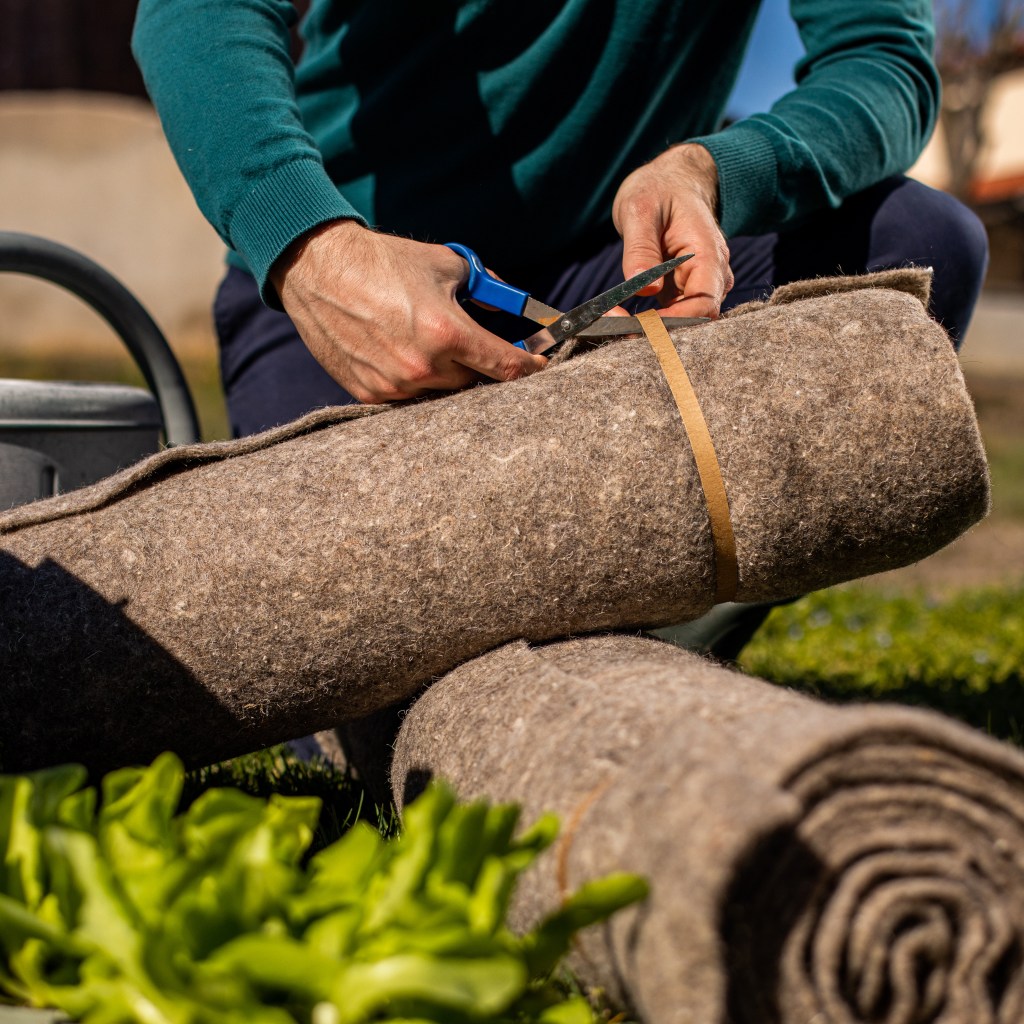 Les cheveux ne meurent jamais, ils se recyclent