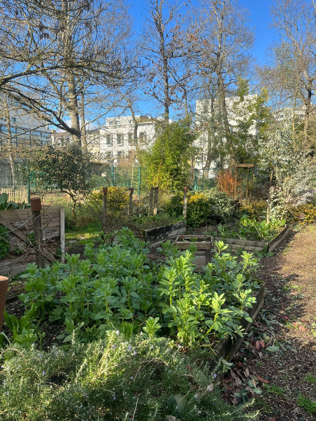 La Rochelle : quand les jardins nourrissent la ville et ses&nbsp;habitants