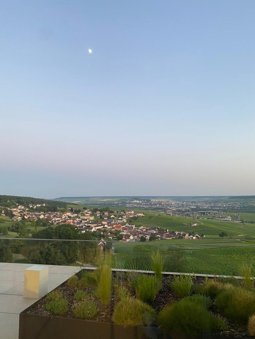 Reims, ville verte de&nbsp;demain